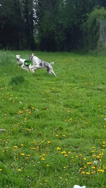 13932069 10208894790220589 1709580023 o