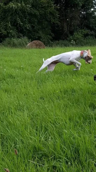 13932072 10208894859542322 334389087 o