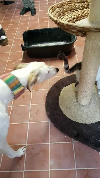 13932100 10208894859422319 812142889 o