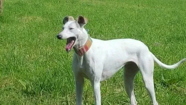 13932108 10208894844701951 107425353 o e1470920267900