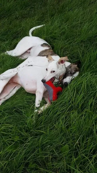 13932216 10208898525433967 100234036 o