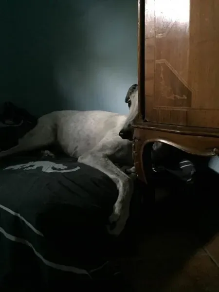 13939376 10209270177344484 5862598280054253796 n