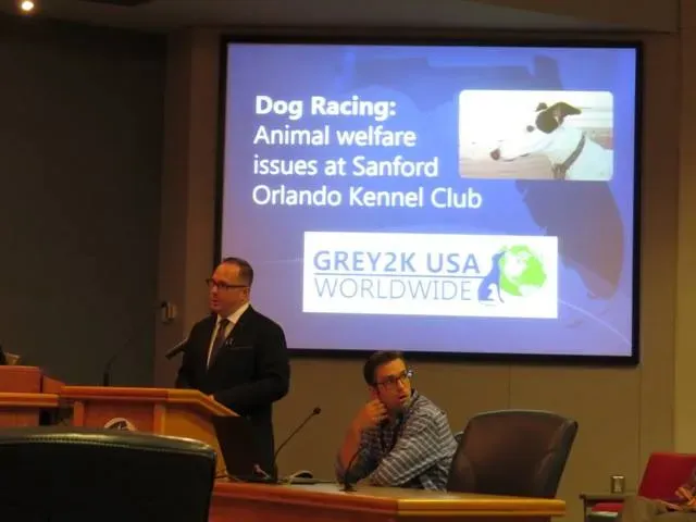 13939417 10153809356028354 8487959647670083922 n