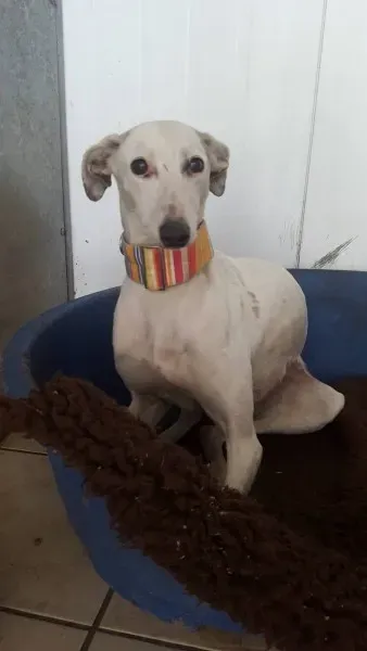 13939947 10208894748339542 504082716 o