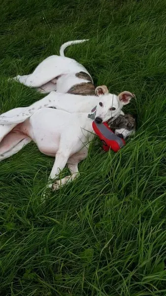 13939953 10208898525593971 284280982 o