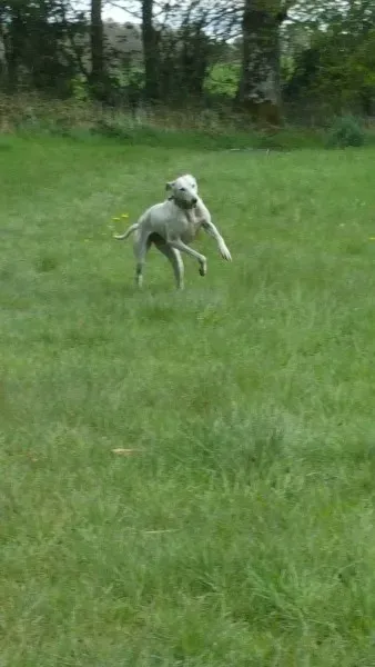 13940000 10208894789980583 1710941798 o