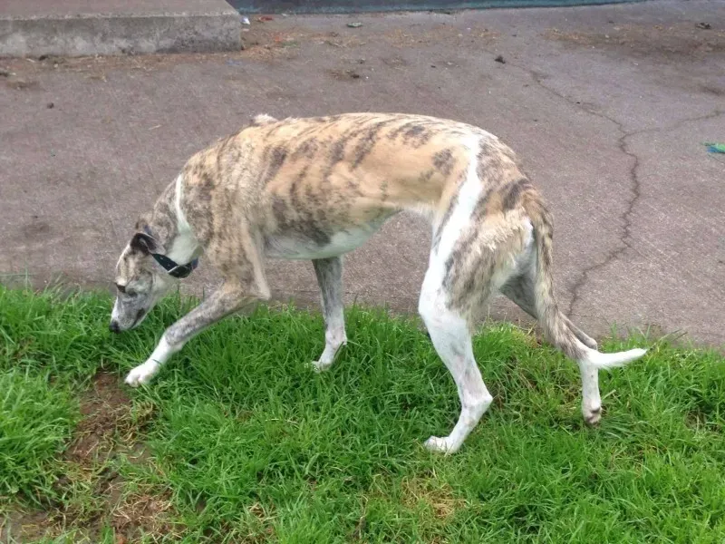 13940160 10210287692978378 126997334 o