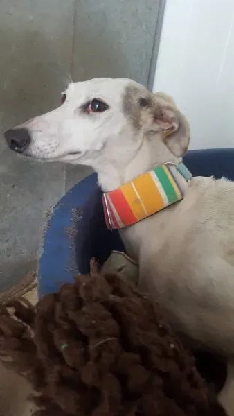 13940187 10208894748979558 486283083 o