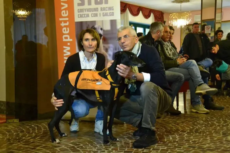 1394105 730140183736506 1457741636092840093 n