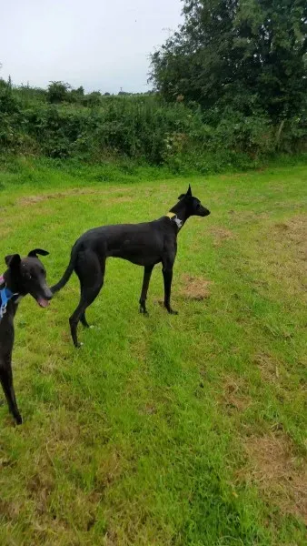 13950618 10210244974590445 1453453605 o