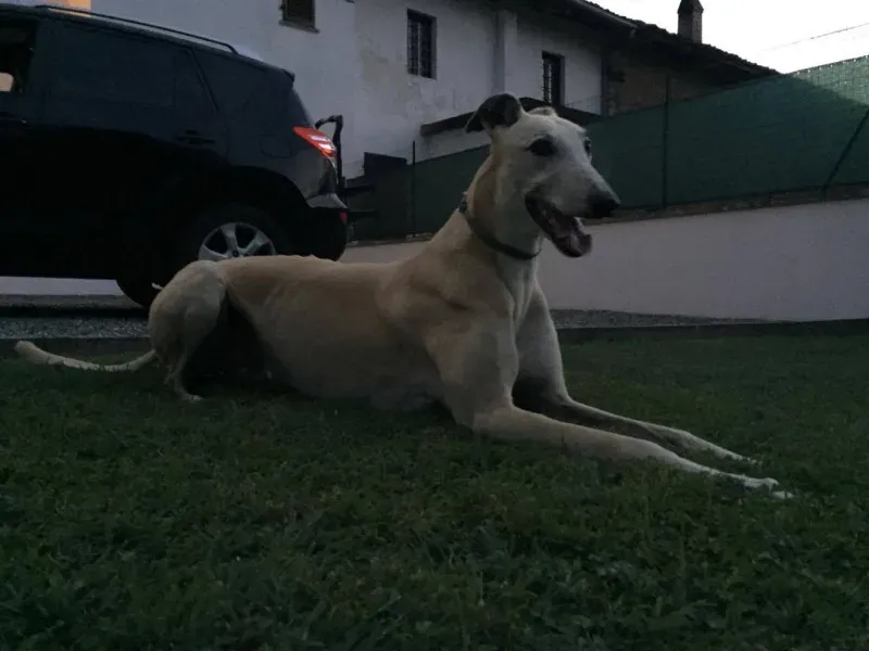 13950628 638367786319938 2028536949 o