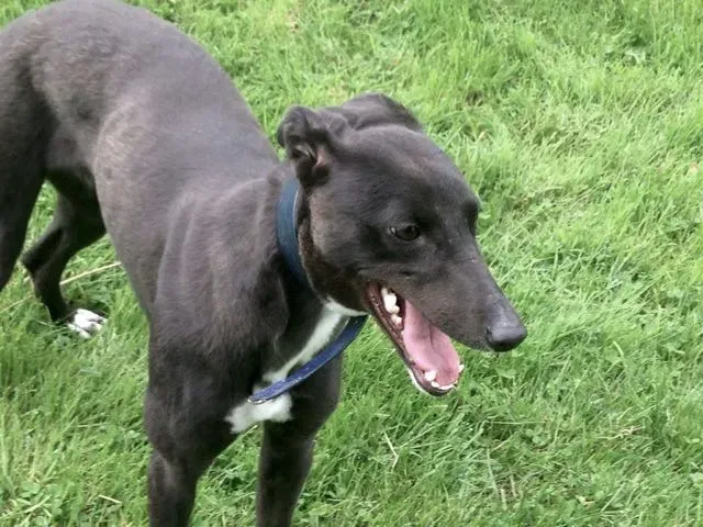 13950660 10210284044647172 1132776330 o