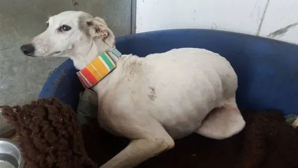 13950675 10208894748299541 1761763156 o e1470920288107