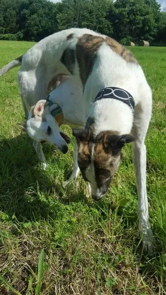 13950759 10208894844181938 336566044 o