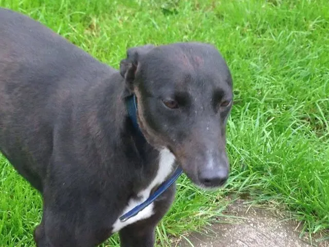 13950850 10210284042727124 2074318989 o