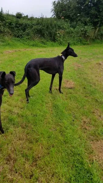 13951014 10210244973230411 1022244785 o