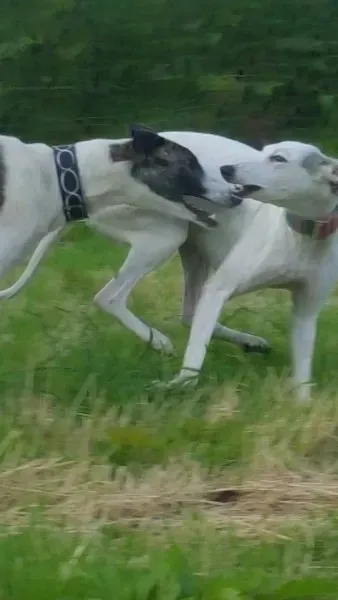 13951090 10208894842301891 2139945662 o