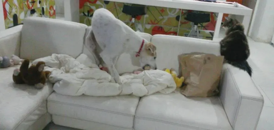 1395825 650066845013700 374112438 n