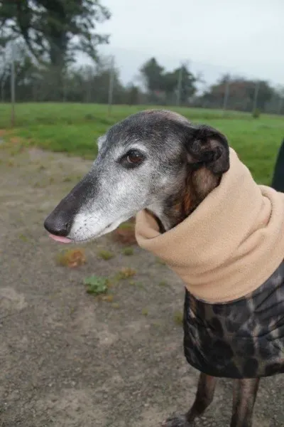 1396818 10152314458625194 1654086472616758515 o1