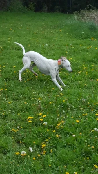 13977995 10208894791700626 1554044350 o