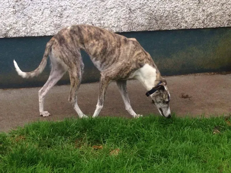 13978077 10210287693098381 1193807740 o