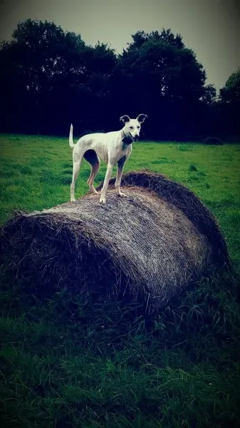 13978136 10208898516633747 134141575 o