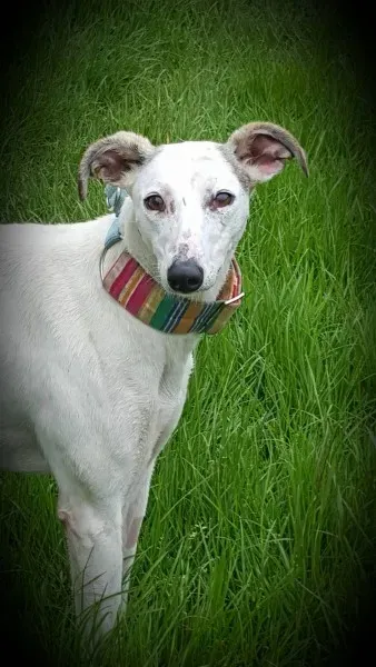 13978246 10208894790940607 7811121 o