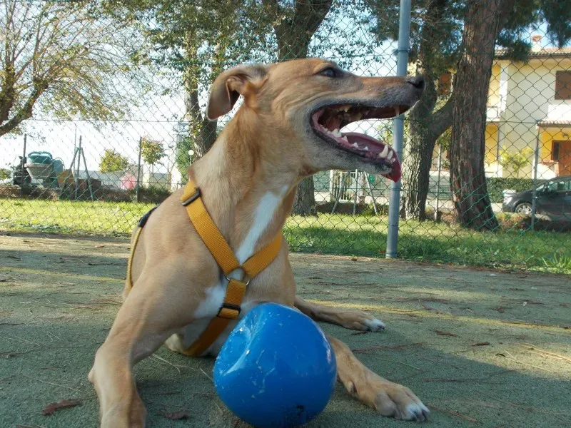 1398208 10204385644993983 9073980451536728775 o