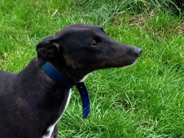 13987158 10210284042807126 188790454 o