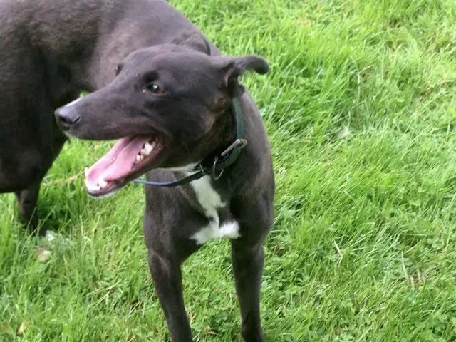 13987159 10210284046727224 110896205 o