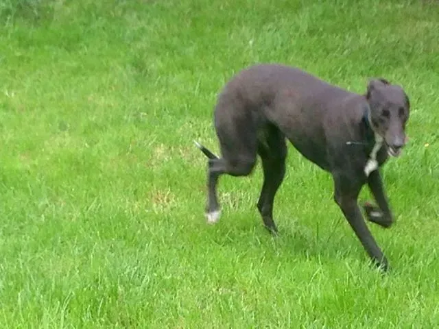 13987794 10210284046167210 2037473565 o