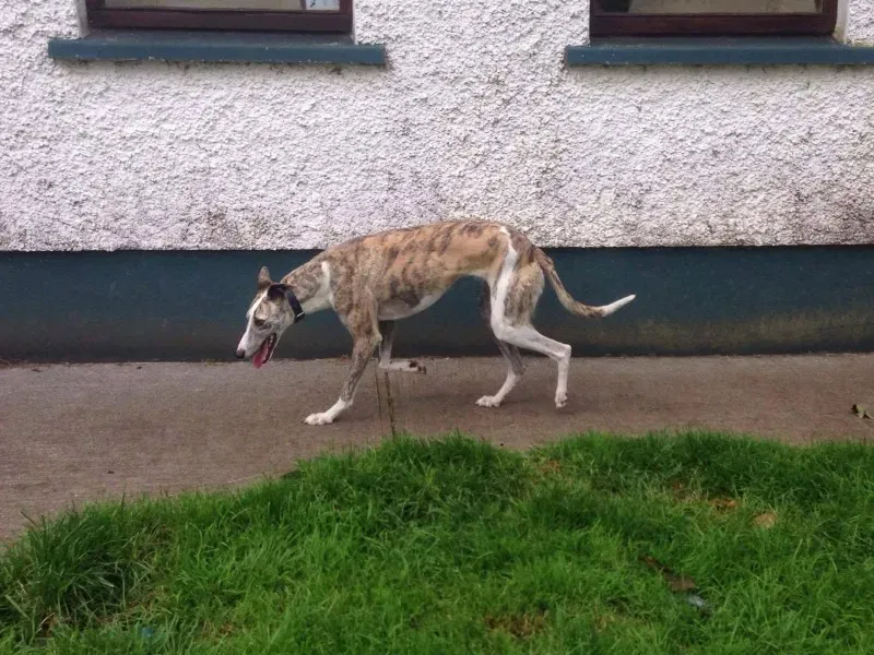 13987833 10210287693138382 1881378096 o