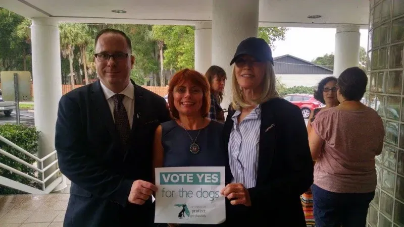 13995533 10153809358208354 3602156701427314374 o