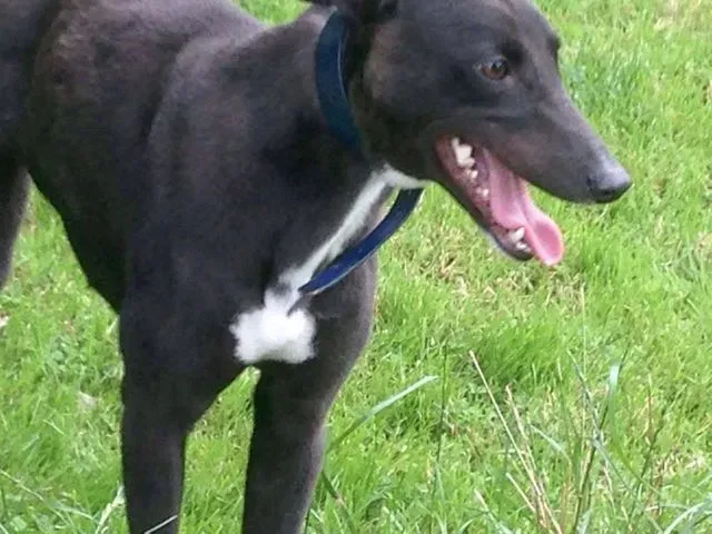 14001734 10210284047647247 832748526 o