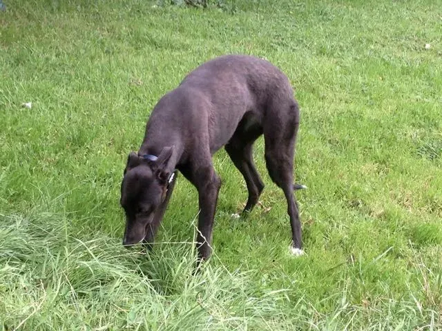 14002380 10210284047007231 102987583 o