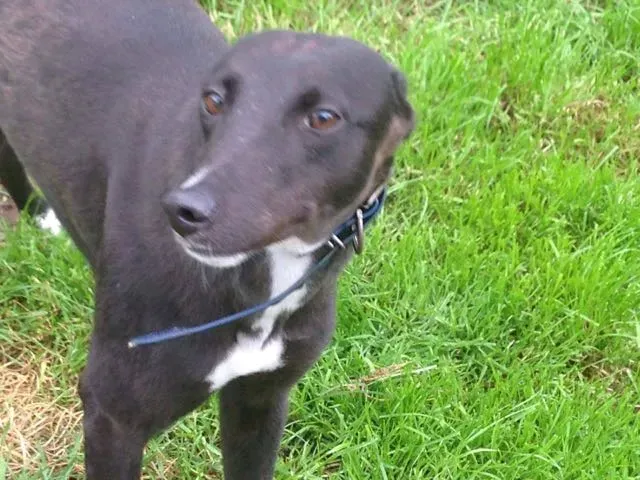 14002455 10210284046607221 1289970229 o