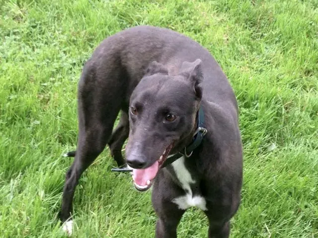 14012336 10210284044847177 1487322034 o