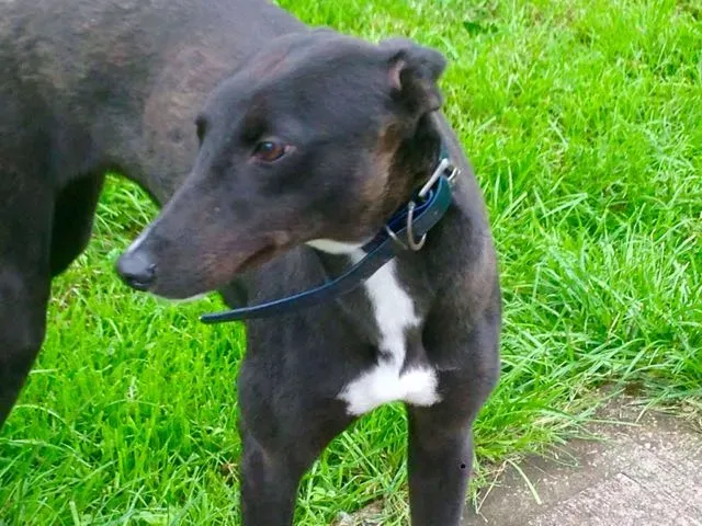 14012428 10210284045607196 919875316 o