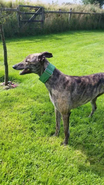 14012804 10210358129299242 1240783430 o