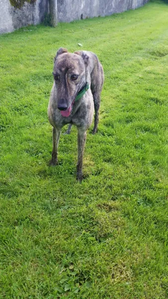 14037487 10210358115738903 350256127 o