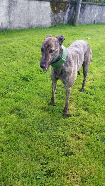 14037669 10210358120619025 1372396633 o