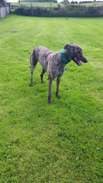 14037929 10210358131739303 1967217516 o