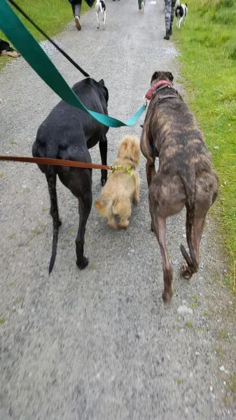 14045048 10209019334294113 651090565 o