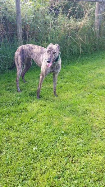 14045197 10210358130699277 480837071 o