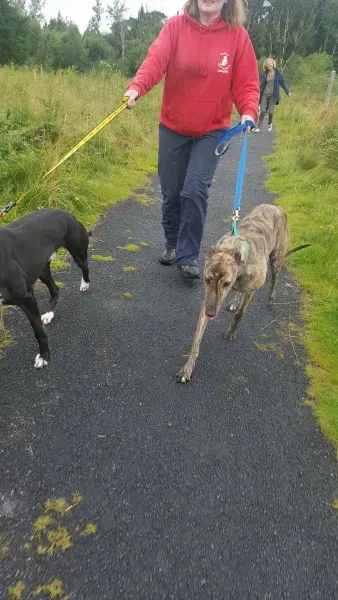 14045325 10209021987760448 1880244405 o