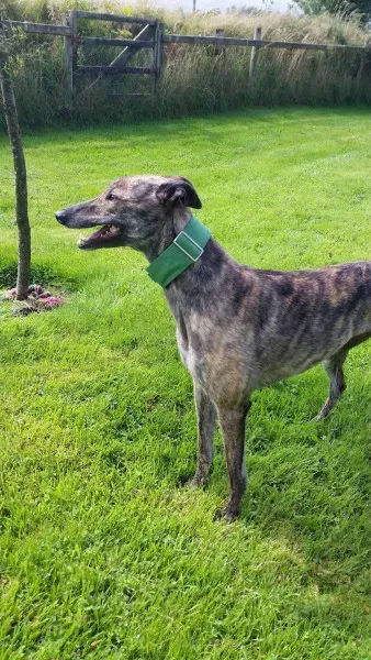 14045333 10210358131379294 279451102 o