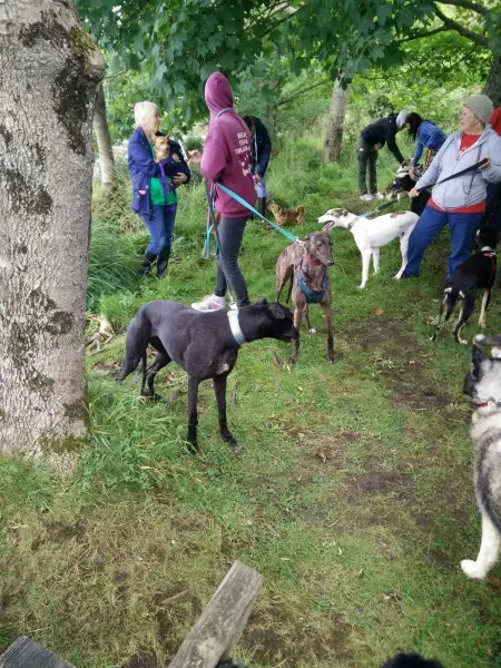 14045371 10209021968239960 2125672304 o