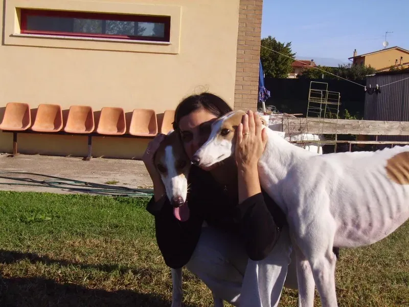 1404597 4966103650627 1027914519 o