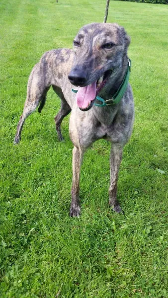 14060022 10210358130019260 323480186 o