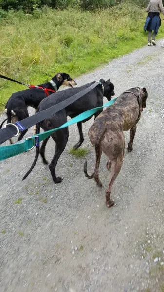 14060058 10209019336814176 58916130 o